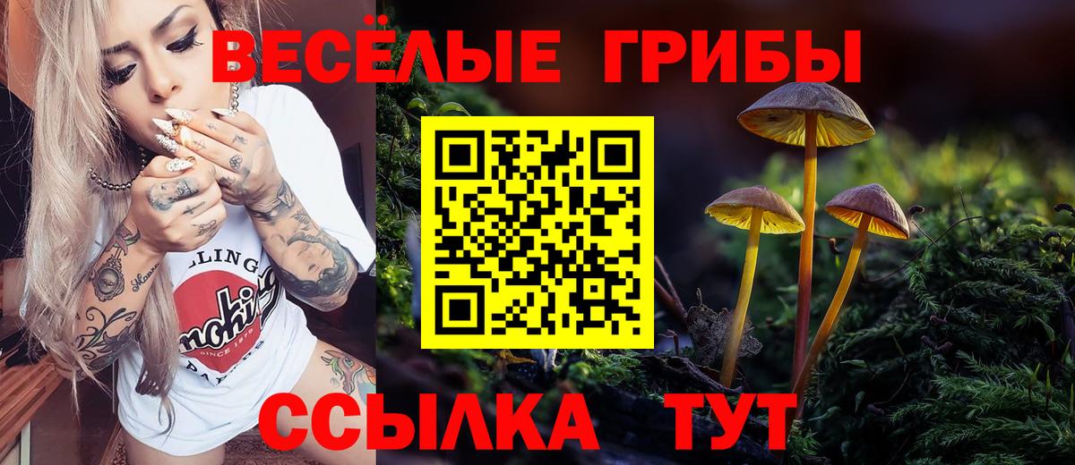 Псилоцибиновые грибы MAGIC MUSHROOMS Владимир
