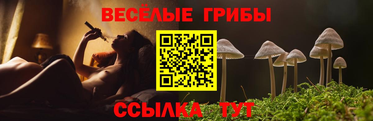 Владимир  Галлюциногенные грибы Psilocybe  Псилоцибиновые грибы мухоморы  Вход с VPN 