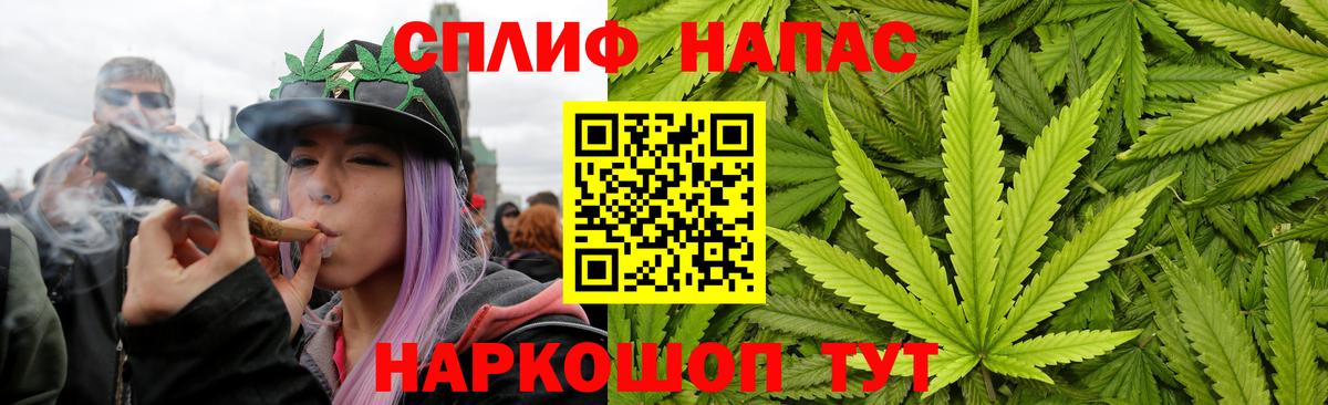 Бошки Шишки семена Владимир